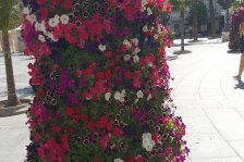 958 cadiz plaza de san juan de dios